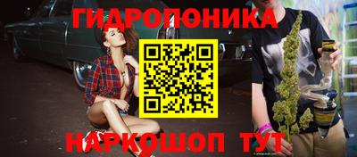 прущие крисы Владимир
