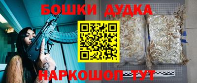 прущие крисы Владимир