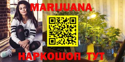 прущие крисы Владимир