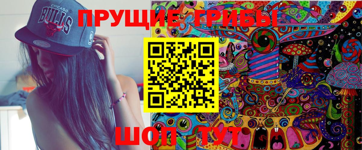 цена наркотик  Вход с VPN  Балашиха  Псилоцибиновые грибы GOLDEN TEACHER 